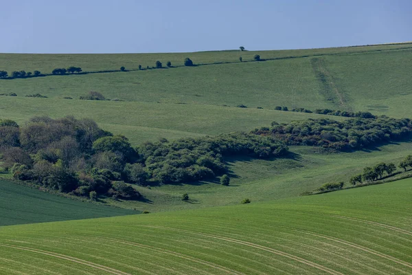 South Downs 'da yeşil bir bahar çiftliği.
