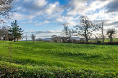 Güneşli bir kış gününde Sussex kırsalında bir tarla