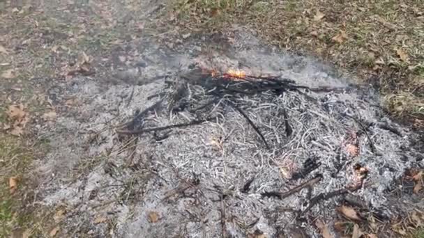 Brasas Ardiendo Tierra Las Montañas Ramas Hojas Ardiendo Tierra Limpia — Vídeos de Stock