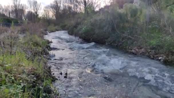 Small River Rocks Grass Edges Close Shot Water Mountain Stream — Stock Video