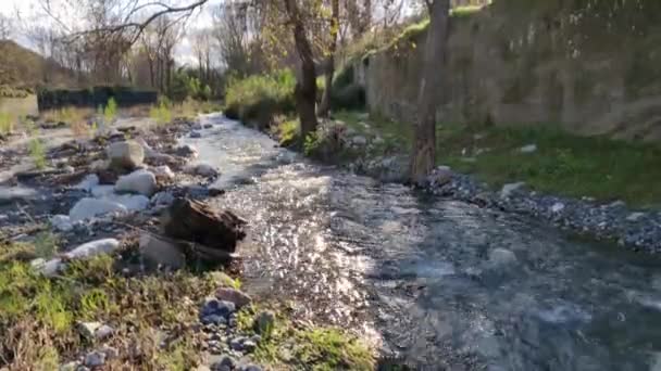 Маленькая Река Скалами Травой Краям Крупным Планом Вода Горном Ручье — стоковое видео