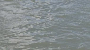 Kenarları çimenlik olan bir su kanalı. Nehir kenarı çimenli ve uzaktan köprülü. Kışın bulutlu hava. Yüksek kalite 4k 60 fps video.