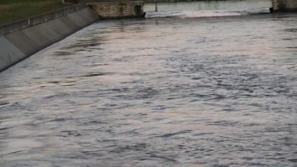 Canale Dell Acqua Città Con Prato Lati Fiume Nel Paese — Video Stock