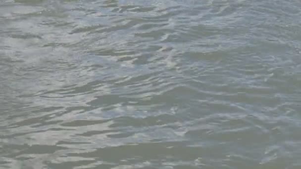 Canale Dell Acqua Città Con Prato Lati Fiume Nel Paese — Video Stock