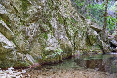 Dağlarda kayalar ve kayalarla dolu bir nehir..