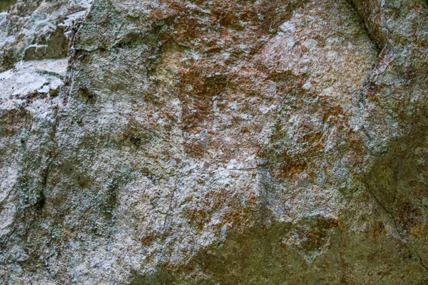 Tekstur Batuan Menutup Dengan Lumut Hijau Dan Akar Batu Berkualitas — Stok Foto