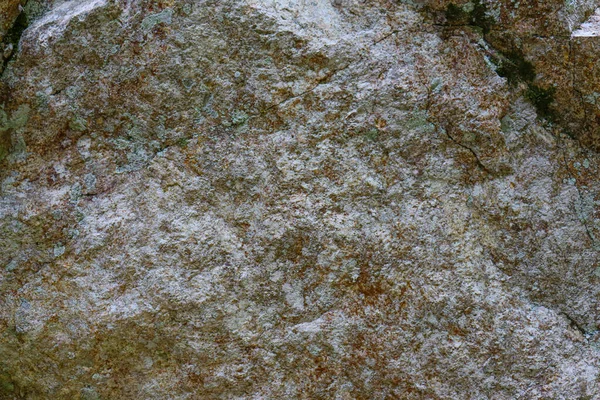 Textura Rocha Fechar Com Musgo Verde Raízes Pedra Rachada Alta — Fotografia de Stock