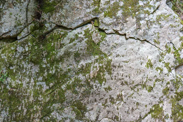 Textura Roca Cerca Con Musgo Verde Raíces Roca Agrietada Alta —  Fotos de Stock
