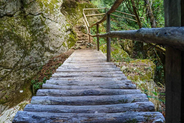 Drewniany Most Lesie Pełen Drzew Rzek Chodnikiem — Zdjęcie stockowe