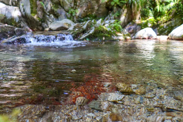 Річка Горах Валунами Скелями — стокове фото