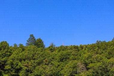 Gökyüzü yukarıdan görünen yeşil ağaçların manzarası.
