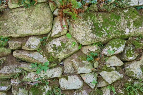 Régi Fal Textúra Kőből Téglából Betonból Régi Ház Épületek — Stock Fotó