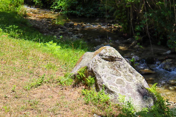 Dağlarda Kayalar Kayalarla Dolu Bir Nehir — Stok fotoğraf