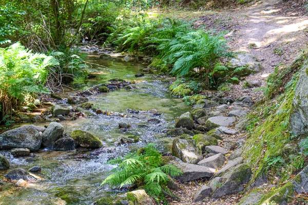 Río Las Montañas Con Rocas Rocas — Foto de Stock