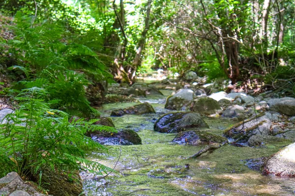 Річка Горах Валунами Скелями — стокове фото