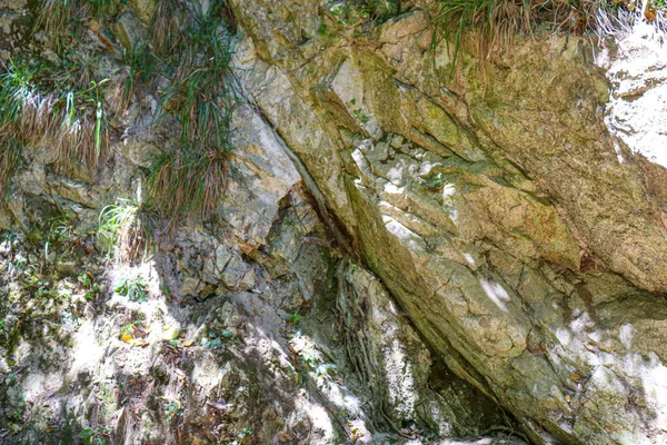 Textura Roca Cerca Con Musgo Verde Raíces Roca Agrietada Alta — Foto de Stock