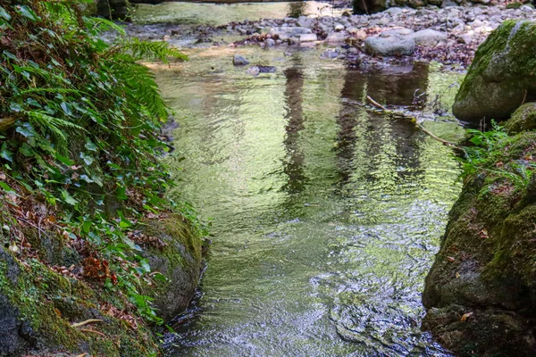 岩や岩のある山の中の川は — ストック写真