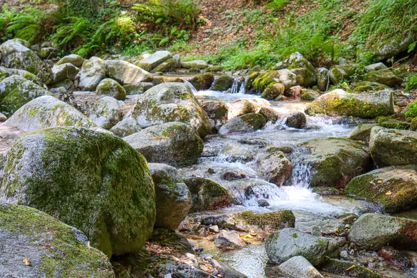 在山上的一条河 上面有岩石和巨石 — 图库照片