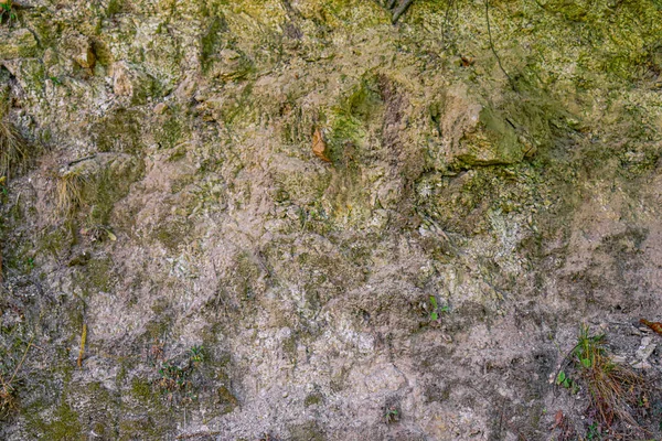 Текстура Породы Близка Зеленому Мху Корням Высококачественный Треснувший Валун Сломанный — стоковое фото
