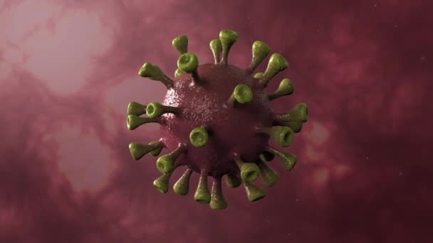 Corona Virus Red Rotation Spinning Center Isolated Dinamic Background Microbiology — Stock Video