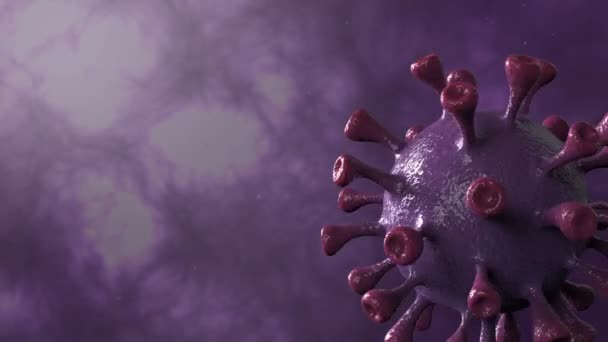 Corona Virus Violet Rotation Spinning Center Isolated Dinamic Background Microbiology — Stock Video