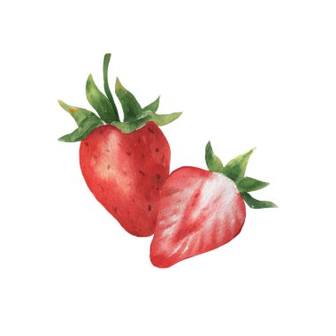 El çizimi suluboya çilek bileşimi