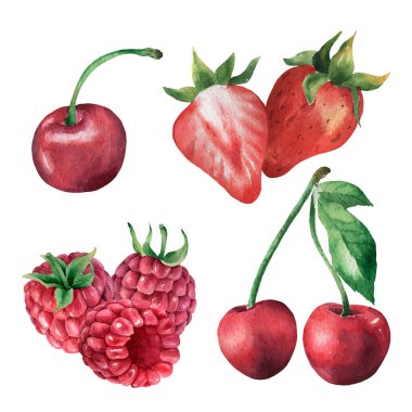 Suluboya böğürtlen 