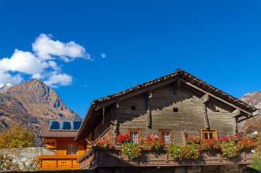 Doğu Tirol Güz. Avusturya.