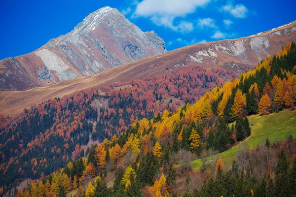 East Tirol in autumn. Austria. — Stock Photo, Image