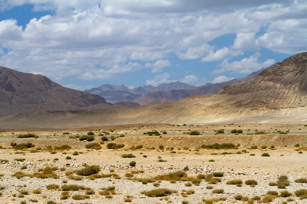 Stora Pamir Highway Öken Landskap Med Gles Vegetation Stockbild