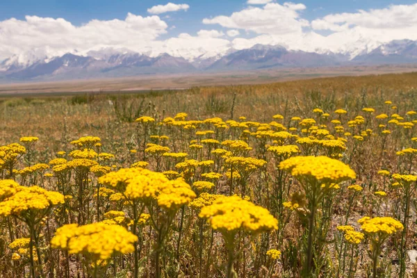 Landscapes Middle Asia Kyrgyzstan Summer Pamir Road — Stock Photo, Image