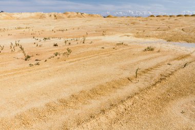 Rusya 'da güneşli bir yaz gününde terk edilmiş bir kum havuzu bölgesi.