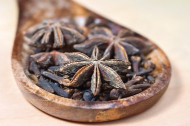 kaşık baharat
