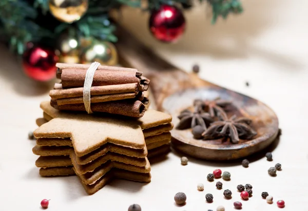 Ingefära cookies och kryddor — Stockfoto