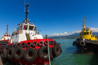Deniz tugs içinde bir bağlantı noktası Batum, Georgia