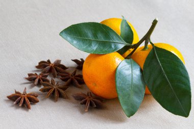 Mandalina şube ve baharatlı yıldız ANIS