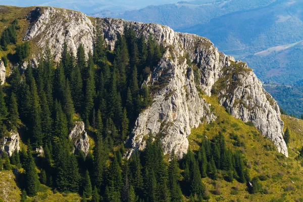 Kopaonik milli park, Sırbistan