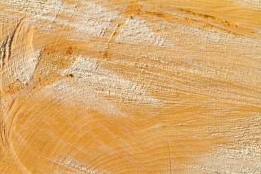 Testere kesim. Ahşap arka plan.