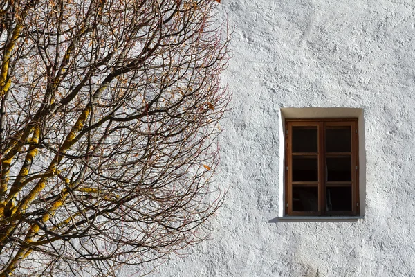 秋天一棵树和一扇窗户，抽象的构成. — 图库照片