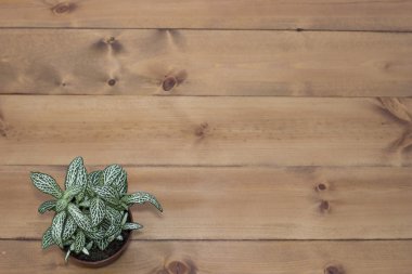 ahşap doku, arka plan