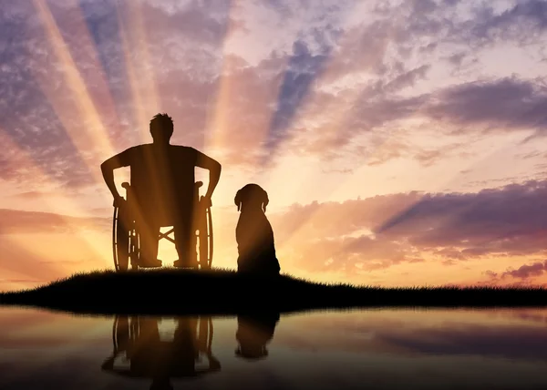 Silhouette di disabili e cani — Foto Stock