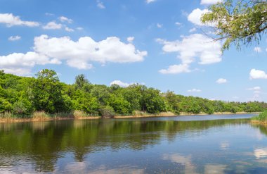 Bir ormandaki nehir bahar peyzaj