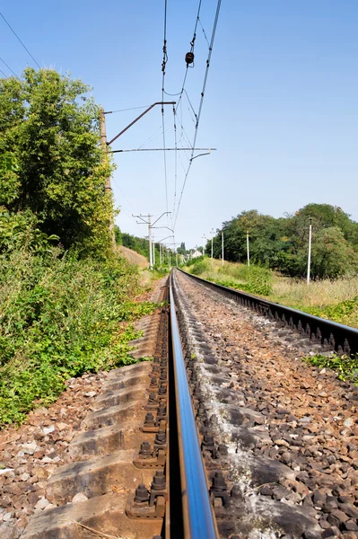 Güzel bir manzara ile yaz aylarında geçen demiryolu