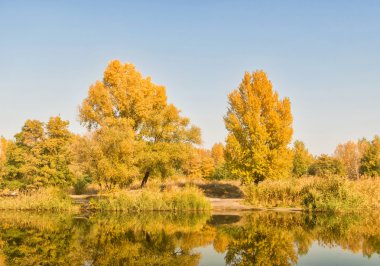 Bir Nehri yakınında altın sonbahar orman
