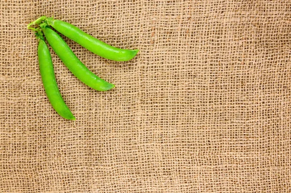 緑のエンドウ豆ポッド — ストック写真