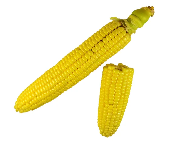 Fresh raw corn — Stock Photo, Image