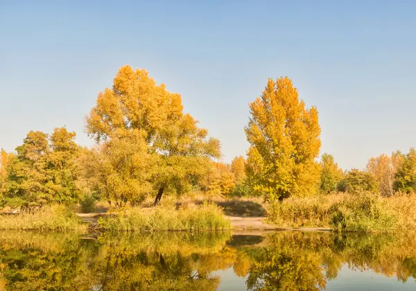 Bir Nehri yakınında altın sonbahar orman