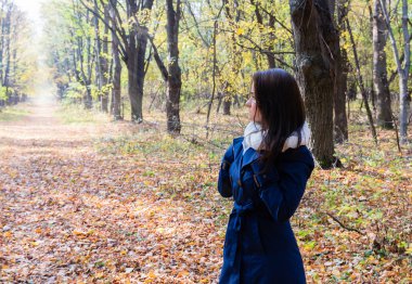 Yalnız kadın parlak bir sonbahar ormanda arkadan görünüş
