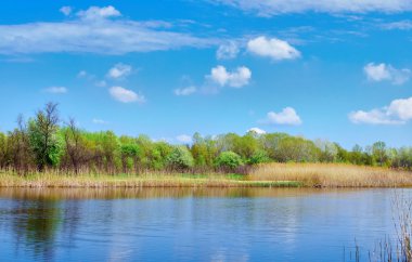 manzara güzel bahar