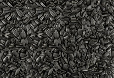 siyah ayçiçeği tohumu